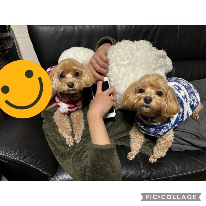 971e8d06 46f9 4a40 a6b4 54aab3a043be 1703631519173