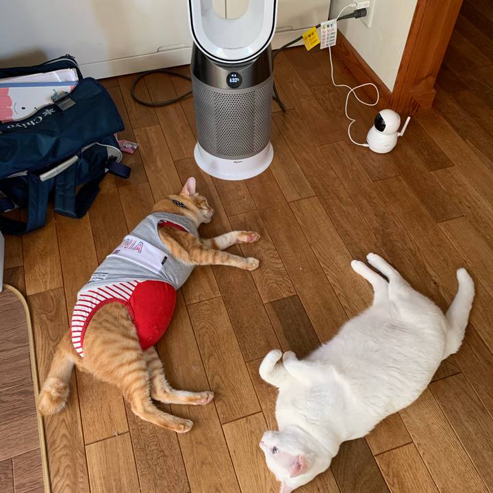 971e8e0c c9d2 4bb0 92c6 0f2adf0efbe3 1598743164175