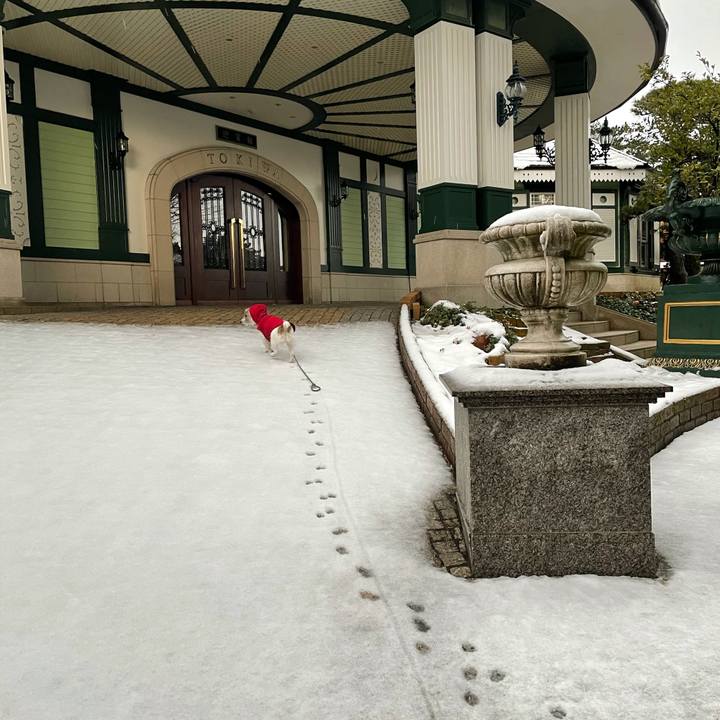 971ebb53 4694 40e2 8eb2 a3d75651a82a 1612394012910