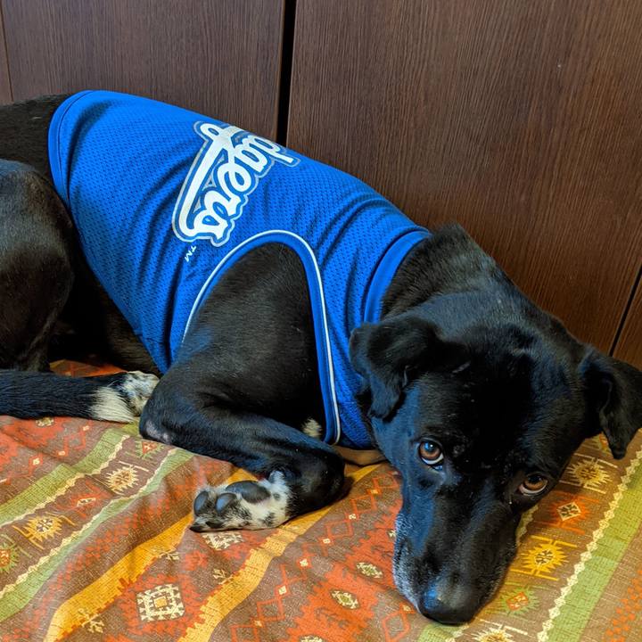 971ee370 1f57 4d75 8fc0 b90136e744b7 1636972324426