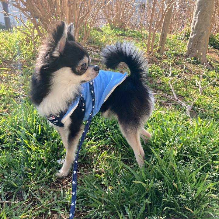 971ee3d7 e7ec 4936 9df5 9e4d1d8641c4 1647059019354