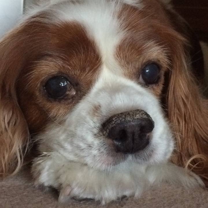 971f399e 94f0 44e7 8143 7821010fe36a 1523398564455