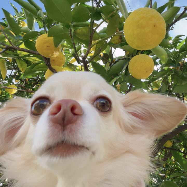 971f4098 b6f5 4291 9527 dd4f60034329 1731330794886