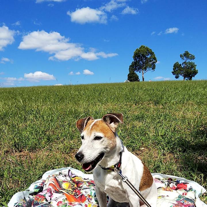 971f66cd 93b9 4e99 9107 7f4e391c67fc 1538980209739