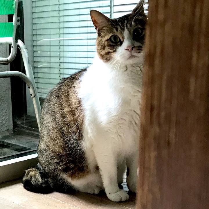 971f6a72 ff50 40fb 800f 84f91aa53389 1592787679737