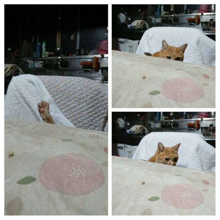 971f6ef0 e8ae 4f6f 893d 952859d9a882 1604866670128