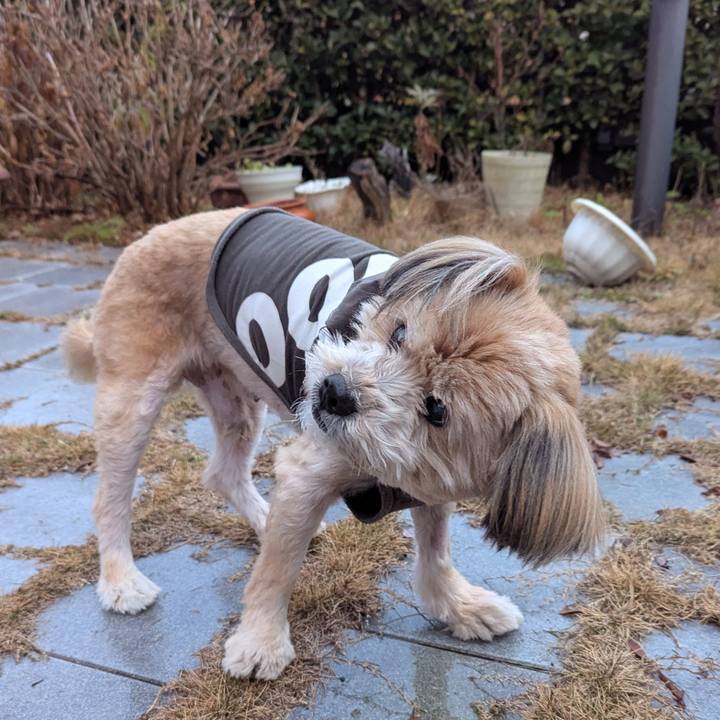 971f721b 36ab 4036 bcd3 b7586ec1192e 1738455758415