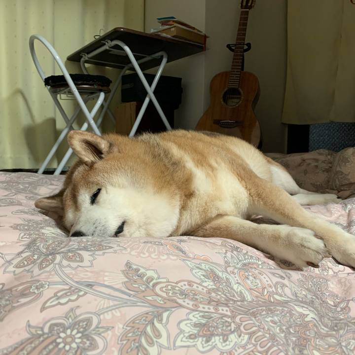 971f7397 62ad 4959 aa01 aad9ef7ab39f 1589721175659