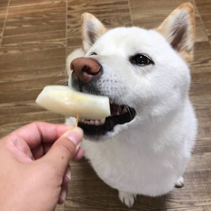 971ffdbd 2b69 4200 a647 3a9760767af5 1533948294161