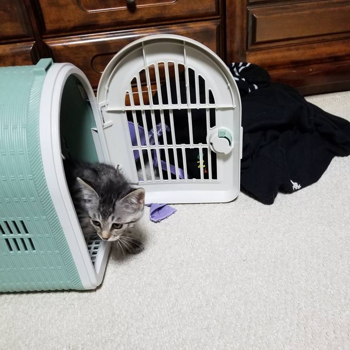 97201067 2b8a 4633 8ee3 5a4fac0353d5 1663544148788