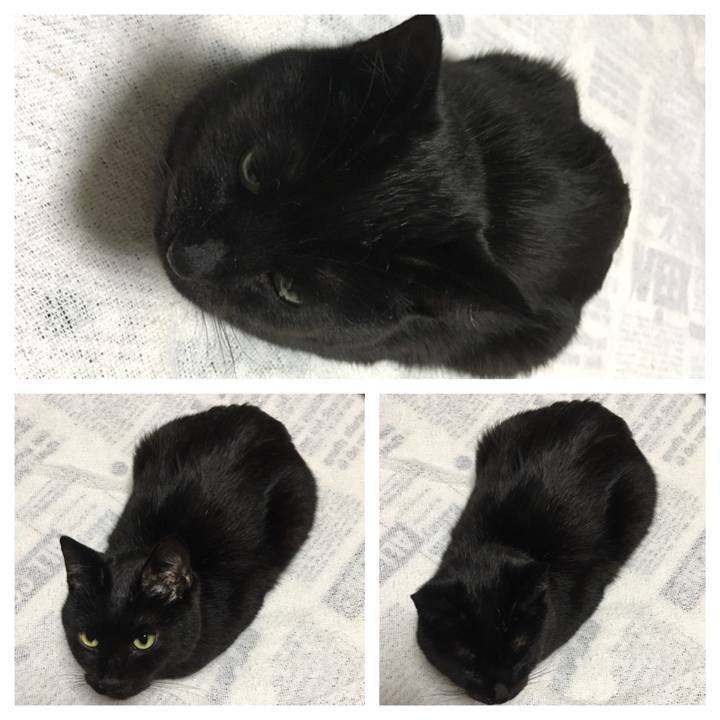 97206b03 2e4d 45dd 8158 2d44846abdf5 1547989674910