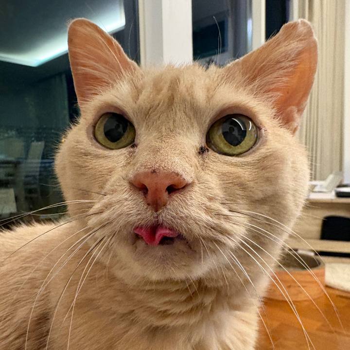 97206c0b 63a6 4537 a49c 50256796ef6d 1771709021799