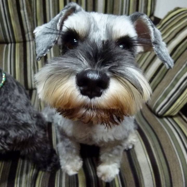 9720a700 a068 4296 9822 80dfb4a838f4 1766572427438