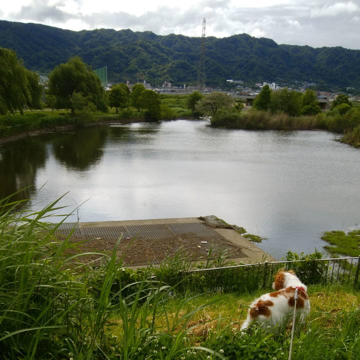 9720aeda fcf4 45bf 96f8 2fe6118cfd11 1526730620965