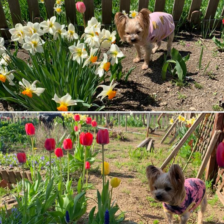 9720ce4f 7dfb 4919 a040 5e3b61efa7f1 1621244245468