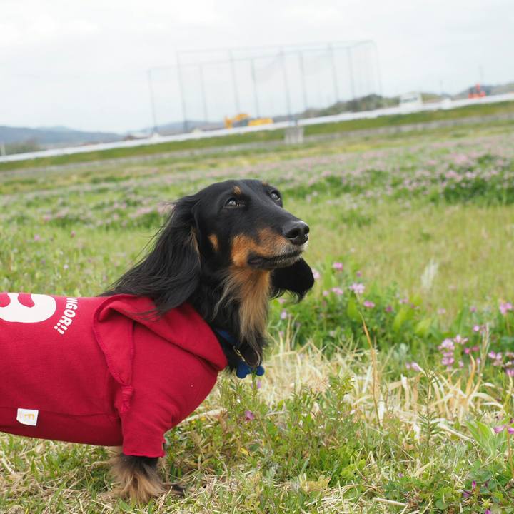 9720d92a c381 4a97 a55d e7b7c96e3a41 1555737856429