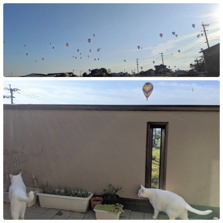 9720e746 f3fb 4ed5 8cbe f11fd08b38c3 1572566683754