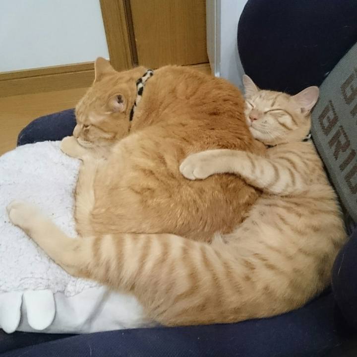 9720eb58 6d49 4168 b2ba fc611aae44d2 1550310541374