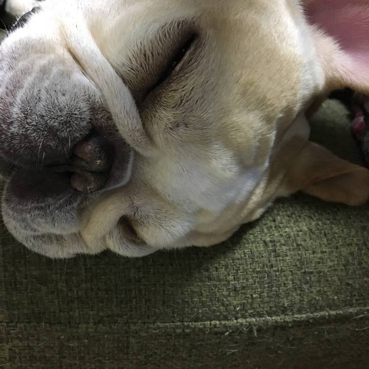 9720f53f bebf 4194 8e4a 173f2b24e247 1512052182832