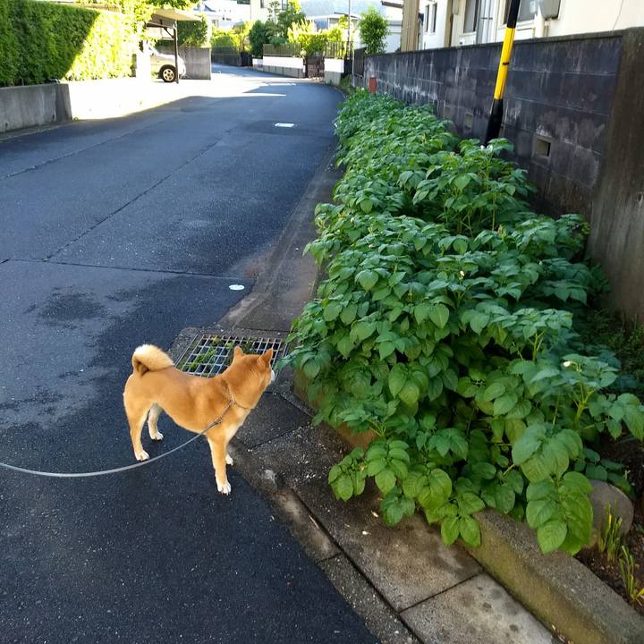 97210d6b 7e85 4274 9e6f e801b172788e 1527120629320