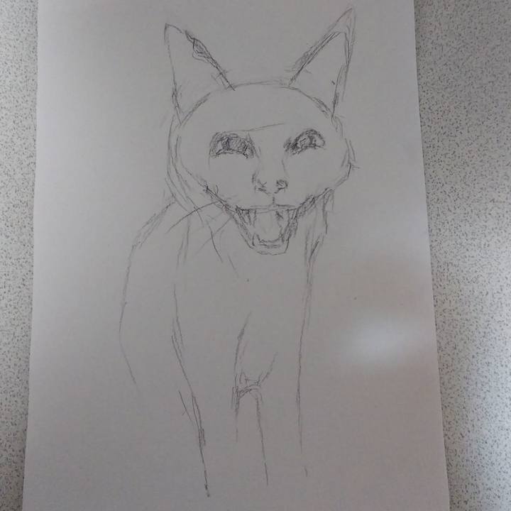 972139d4 1440 4f45 a41d be9b3f705502 1548333278920