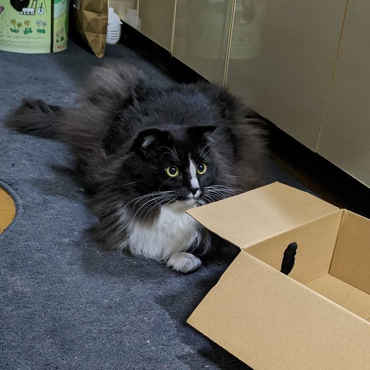 97216328 91d9 4e3b 9e36 5718cc7a47f6 1669931105845