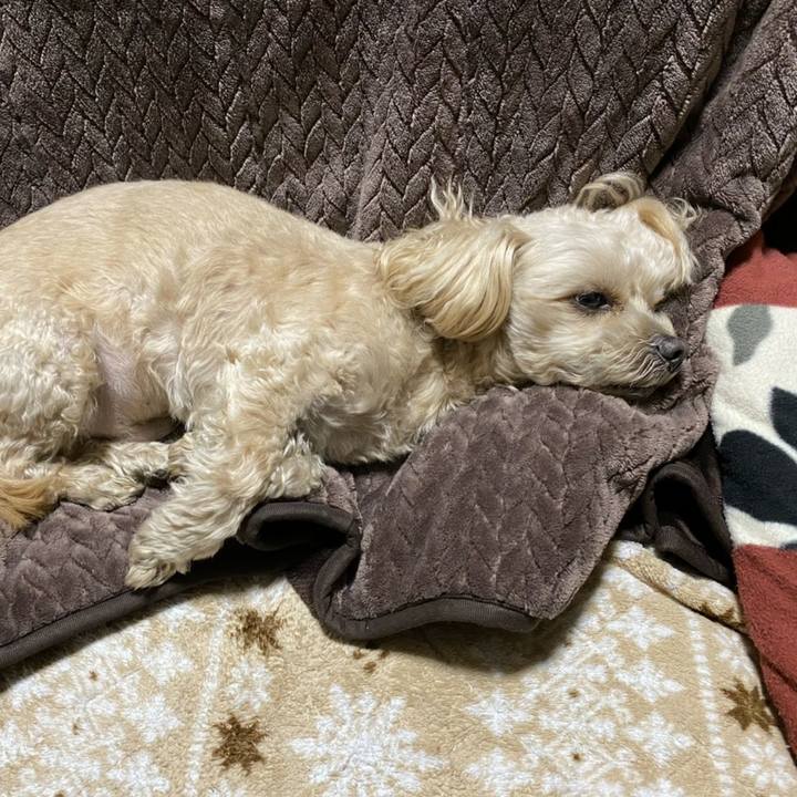 972169a2 1fea 4140 babd 78220bf55057 1612969315229