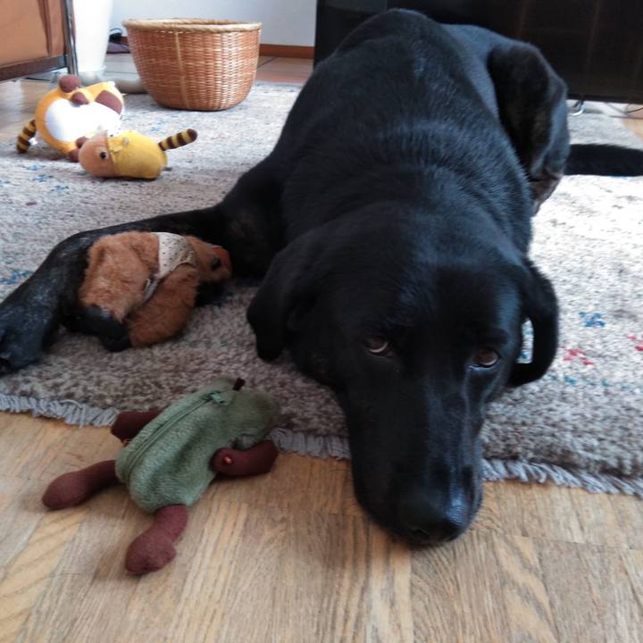 97219238 d241 4462 9881 ec1e04c51fc5 1592866129237