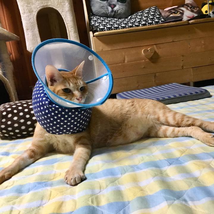 9721a5b4 cdae 4f36 9aba 14c2e69a4133 1525099368511