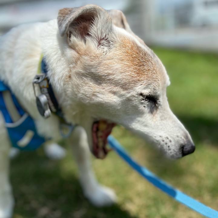 9721abeb a359 4951 8934 4accecfac0bb 1720410825131