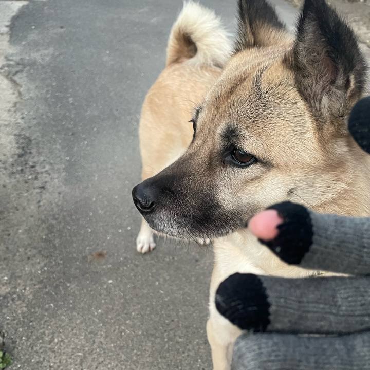 9721ea46 e7e4 40f3 a45f 650b8896d7ed 1643714292693