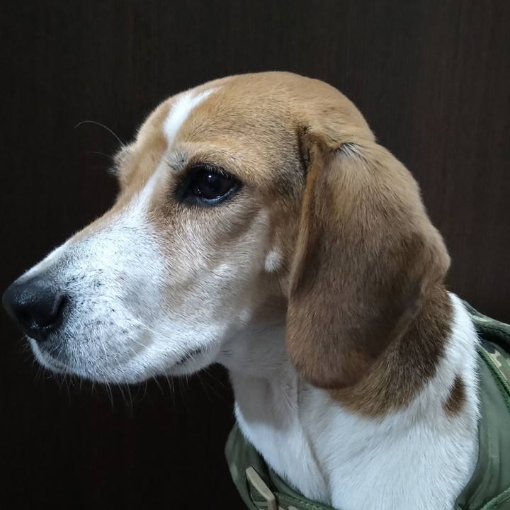 97226f3e 1b3f 45af 8730 5ff77dfd7d73 1672664982087