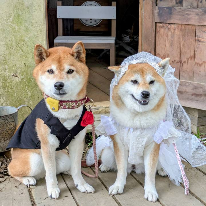 9722744a 9fe0 4958 9066 d0ee366185fb 1748492332032