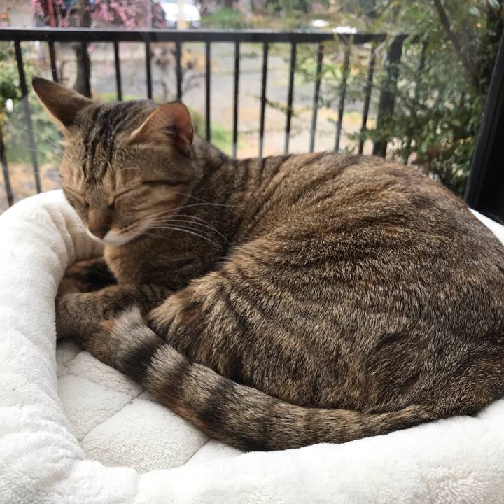 9722b241 12be 4522 b6e4 787a825bc9c0 1582684919463