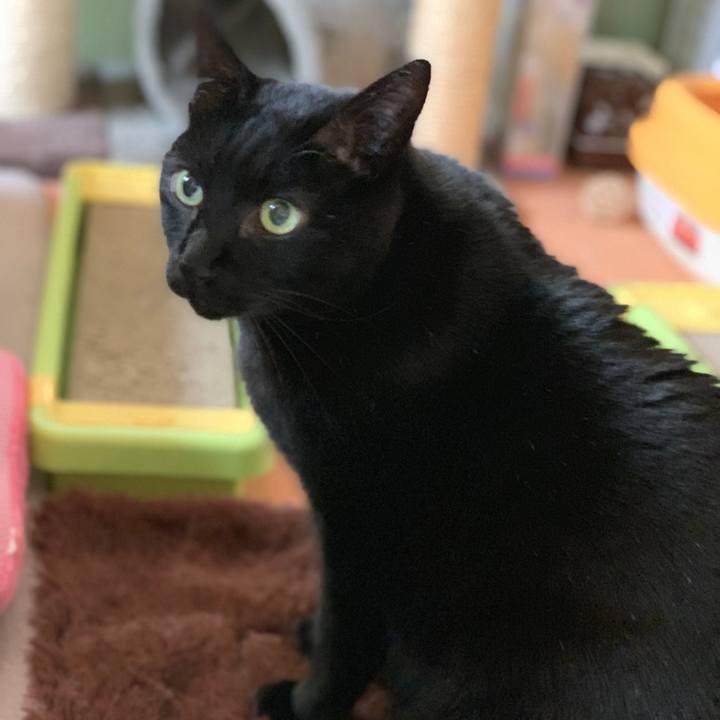 9722c45f 2877 4f7d 97dd 3c9fa21b7d61 1548638616527