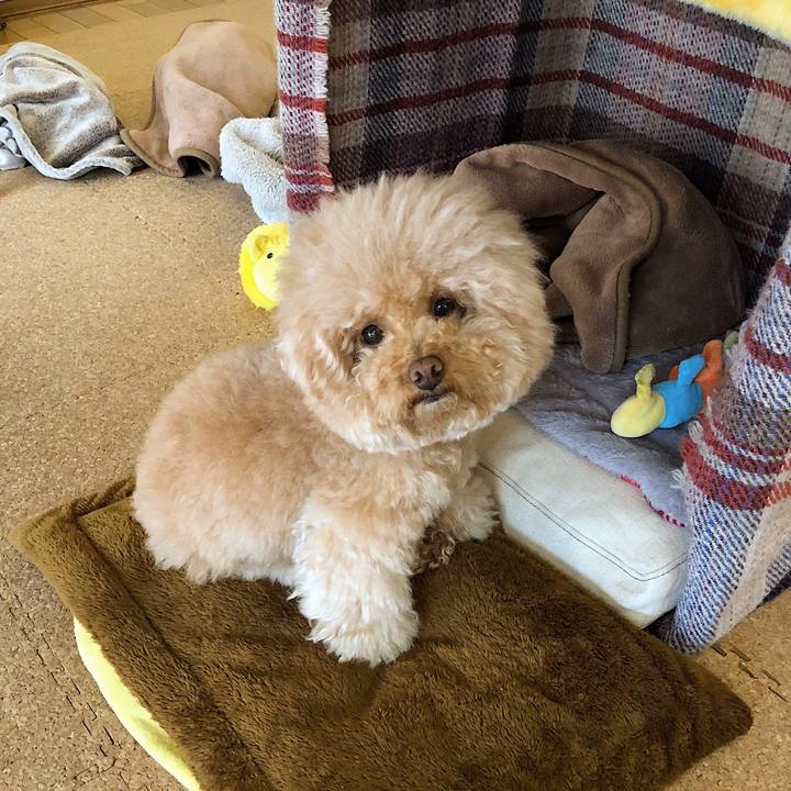 9722c822 7387 499d b20d 6cccca7d8f82 1524190345667