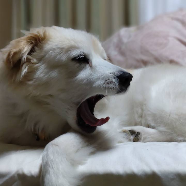 9722d3fe 8797 48ec 9e76 97e05864e1aa 1650833266542