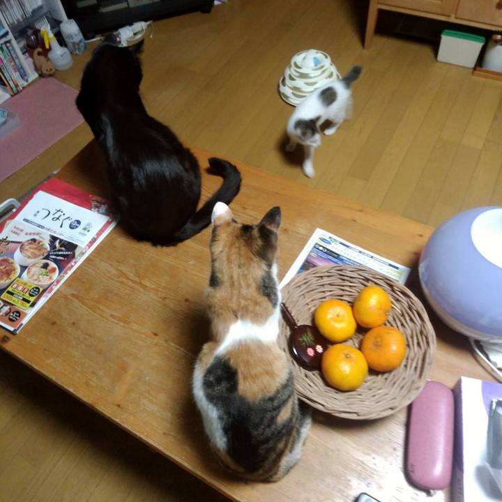 9722e007 d4fa 4c71 9c55 112abcbe297c 1637235953787