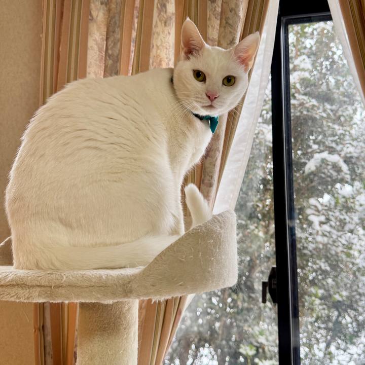 9722ef0f 37f7 48d1 84a7 94de3dbd79c9 1770528698265