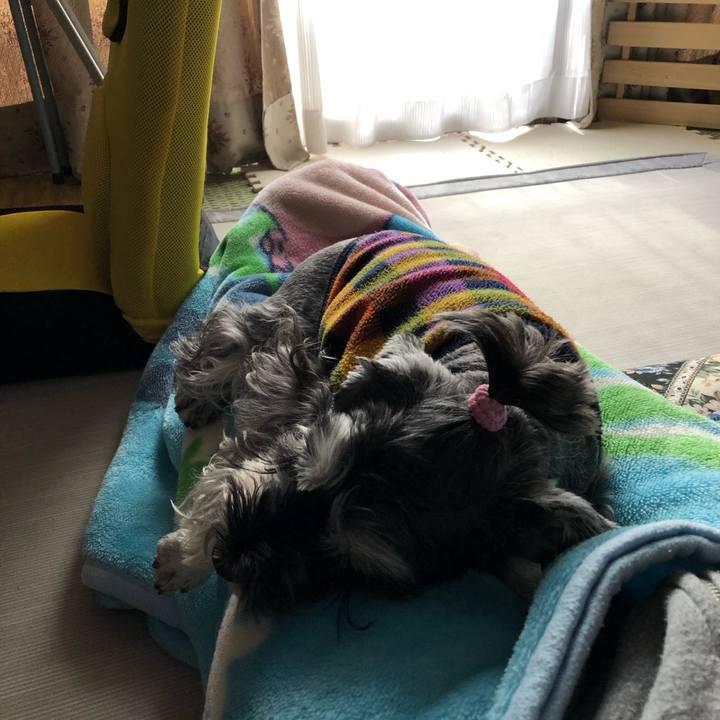 97233436 b5d0 447a 9368 ad0343fb2776 1574572317514