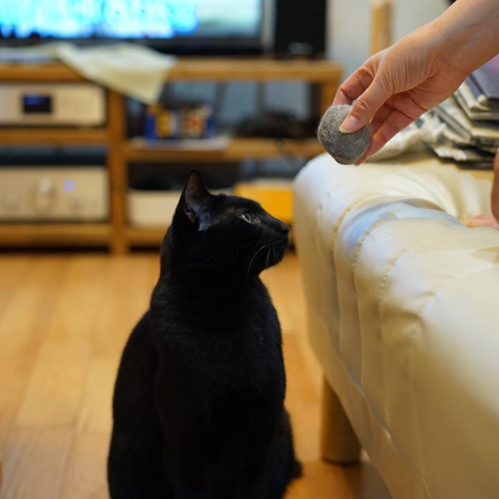 97235539 6151 488a b627 7b59f4f36795 1556846955146