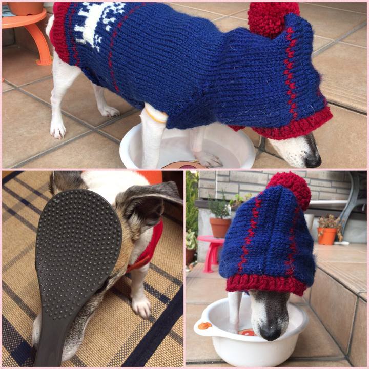 97236365 583c 4152 948d 757b4ca961e8 1515553992610