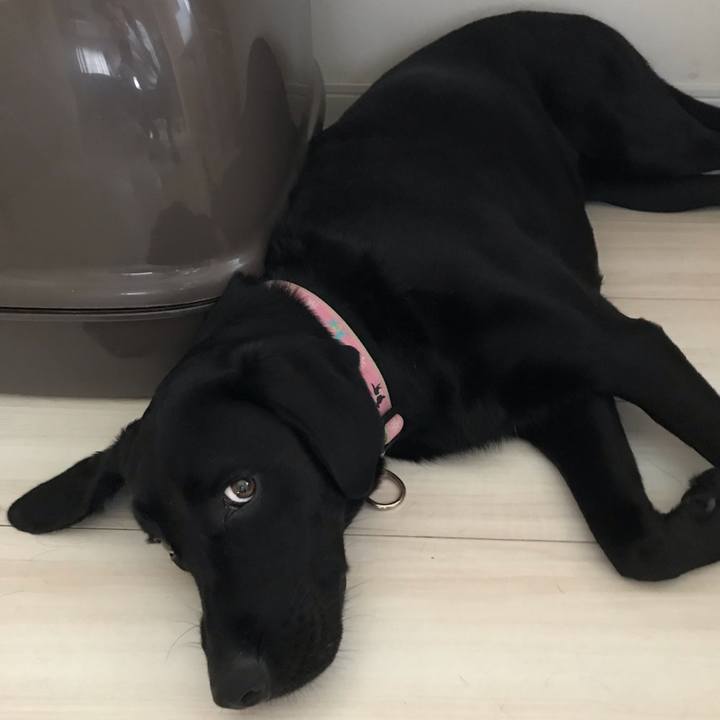 972384df 2eed 4edc 906f b70d27b2139f 1562745104859