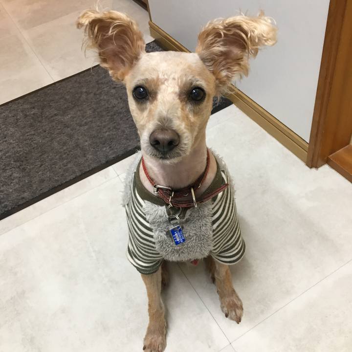 9723a015 bc1f 4350 9570 f6b8c1b05ac8 1556659464850