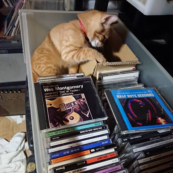 9723a04c 8465 4b59 9121 553baacd5d1b 1633175739761