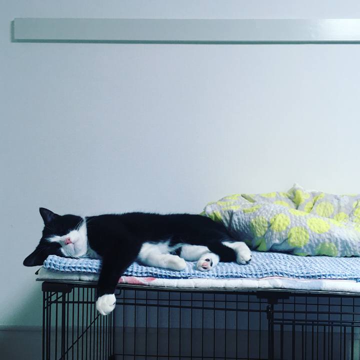 9723d035 e98a 4fad b3c3 0cfdacb93f3d 1630933822465