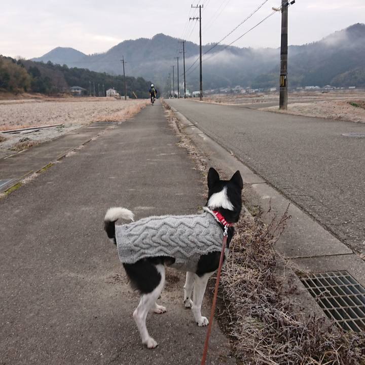 9723dd74 3fb9 44e9 b3db b94e8fc4f91b 1612165464225