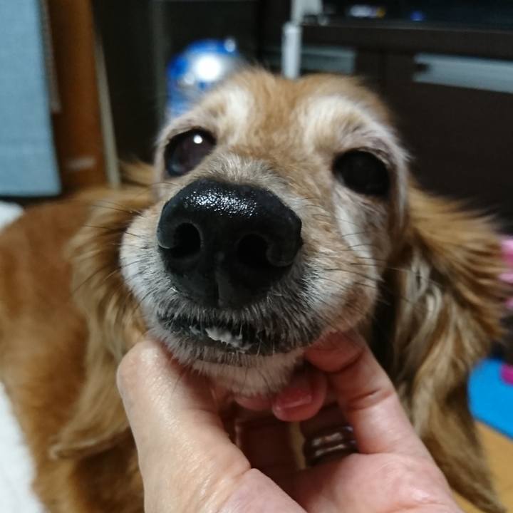 97240075 f8da 40a1 8ff4 4829e911e0a3 1573580236848