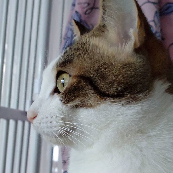 9724317d d4f0 4f13 a30a ef9327cc1a49 1672391577070