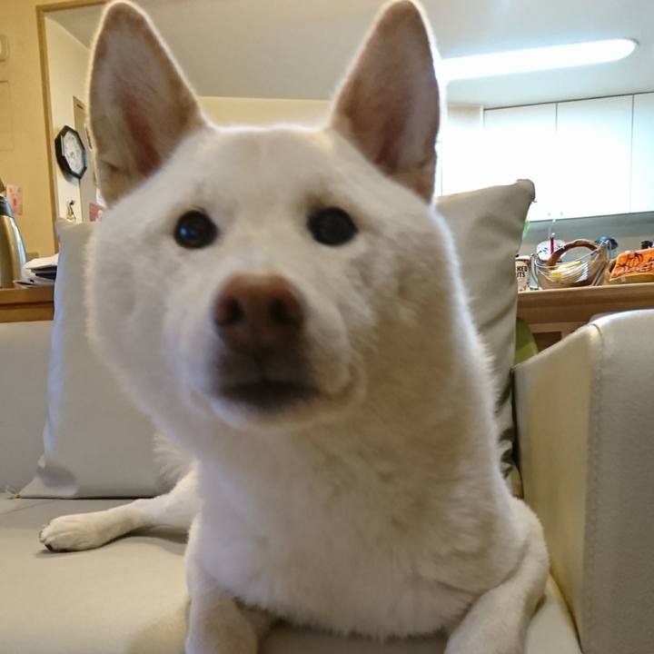 97247227 20ec 4952 9b04 15363926c563 1548282329716